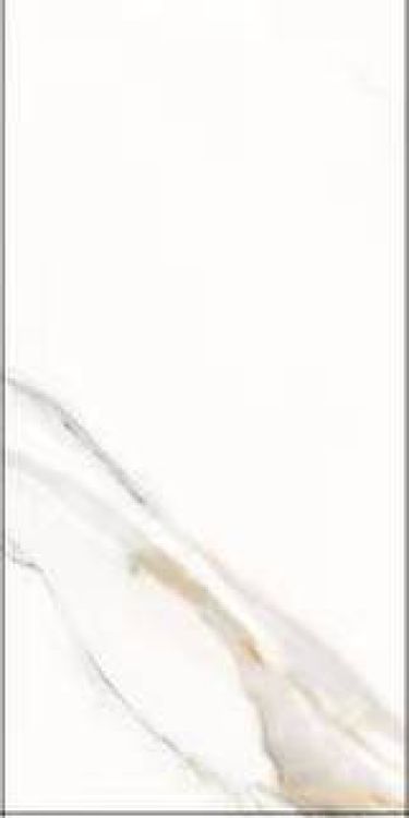 Time Lumidora Matte 12 x 24